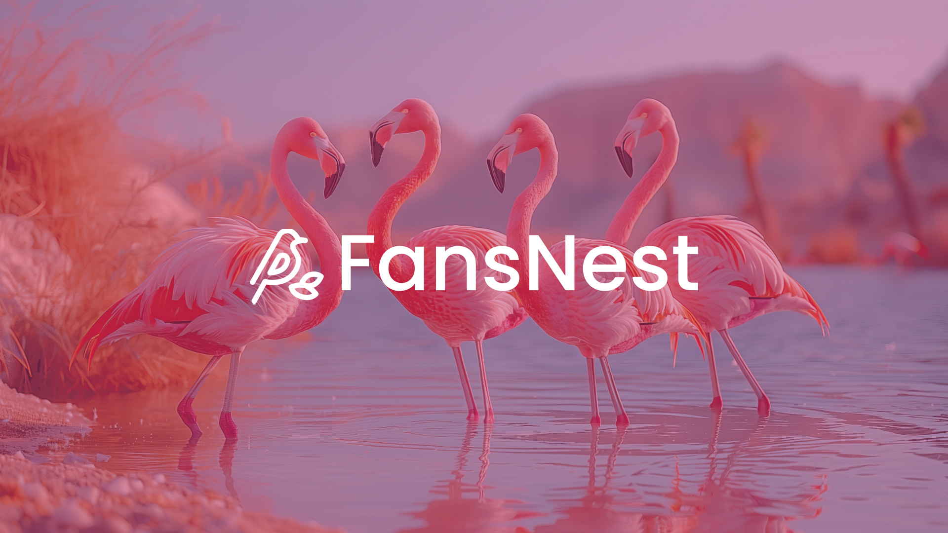 FansNest